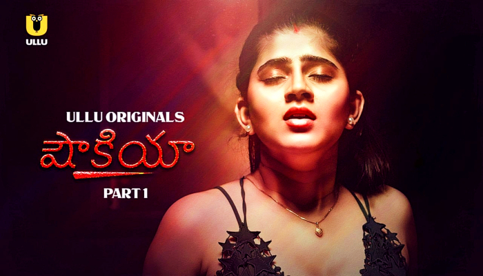Shaukiya P01 (2024) Telugu Hot Web Series